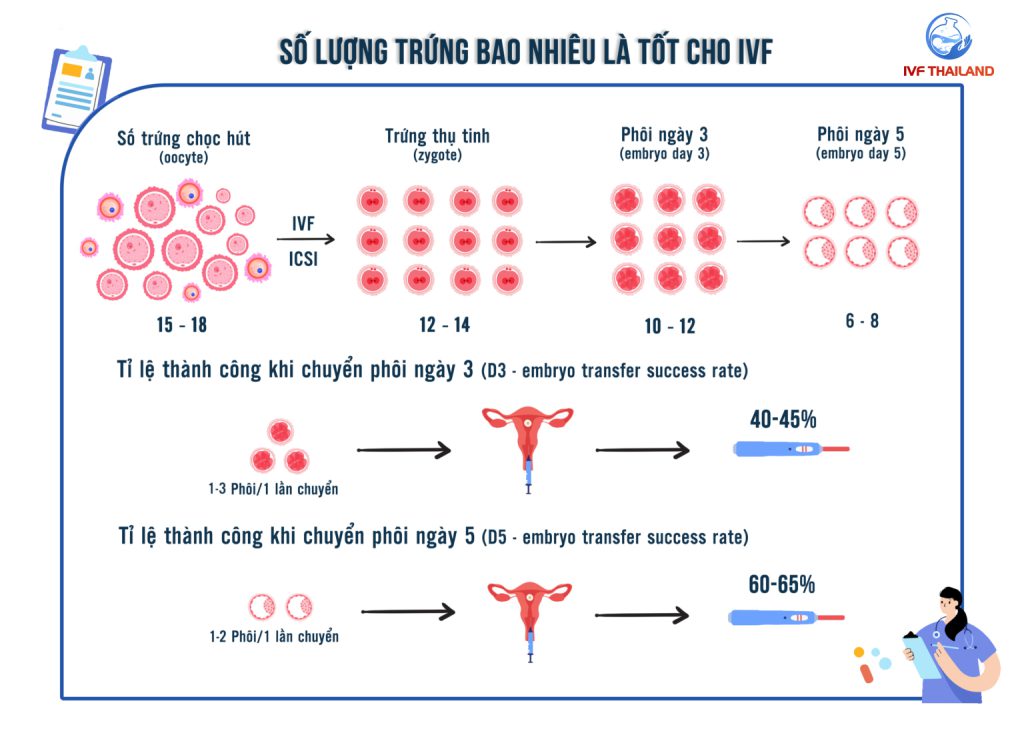 SO-LUONG-TRUNG-TOI-UU-CHO-IVF