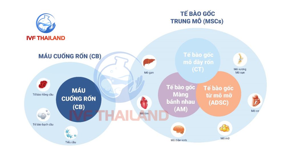 Tại sao nên lưu trữ tế bào gốc?