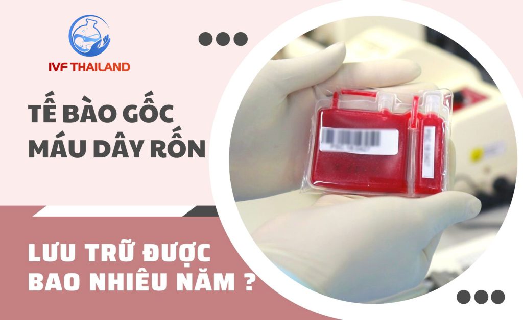 Có thể lưu trữ tế bào gốc máu và mô cuống rốn trong bao lâu?