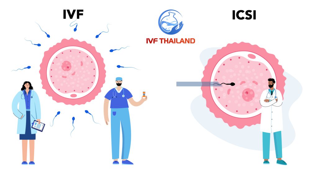 ivf thai lan