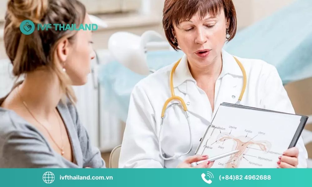 Các giai đoạn trong quy trình IVF tại Thái Lan