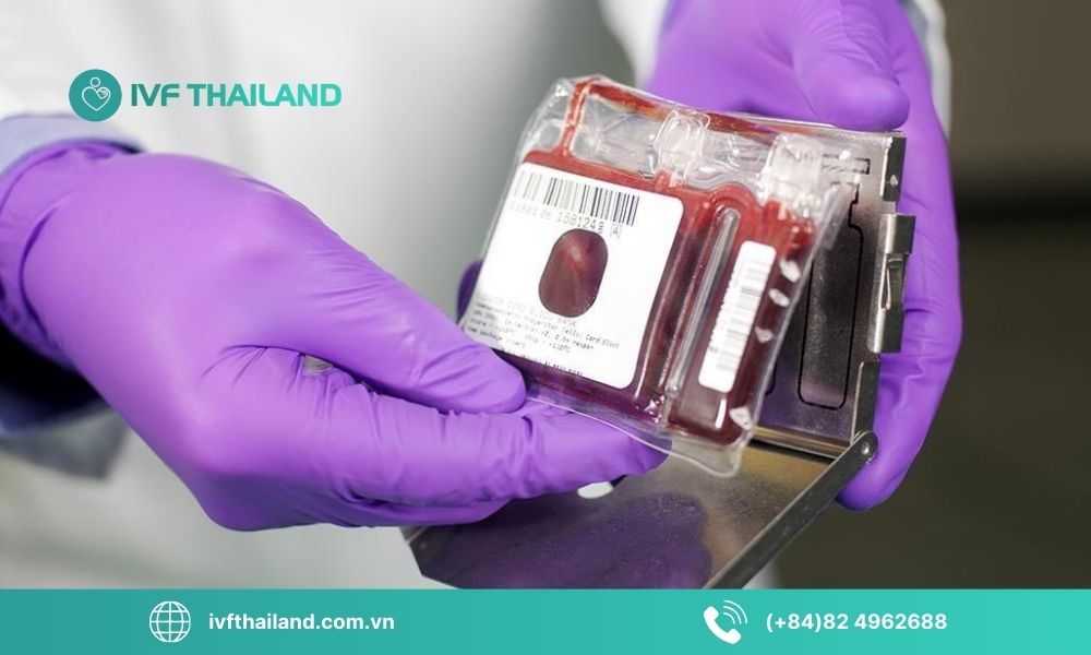 Chi phí bảo quản và lưu trữ tế bào gốc dài hạn