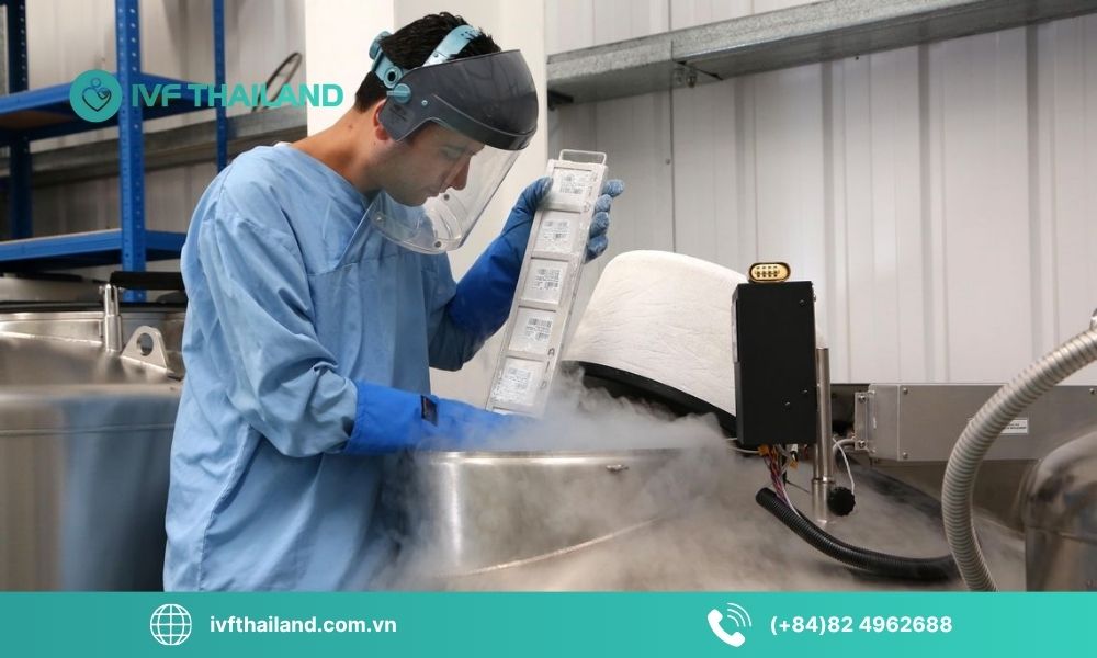 Chi phí lưu trữ tế bào gốc tại Thái Lan