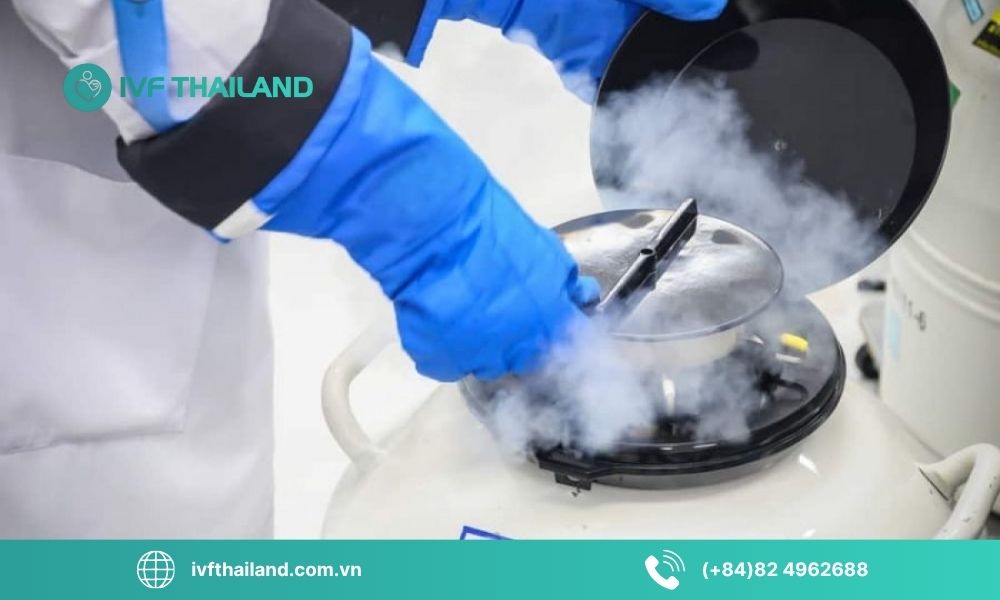 Đối tượng nên thực hiện trữ đông trứng