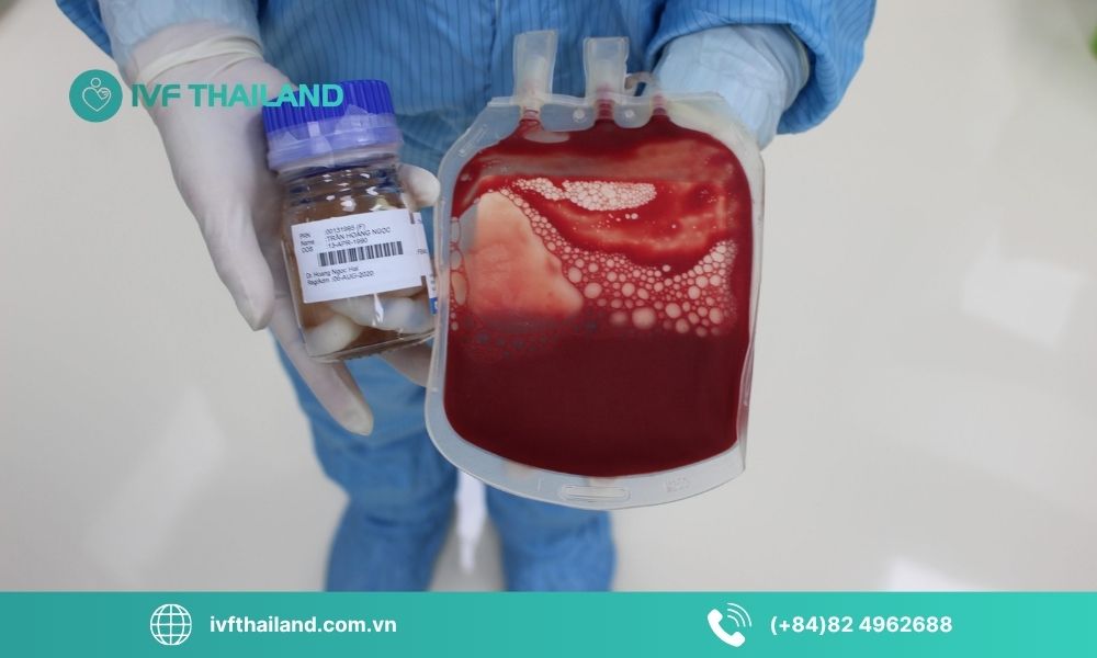 Lợi ích khi chọn trung tâm lưu trữ tế bào gốc chuyên nghiệp tại Thái Lan