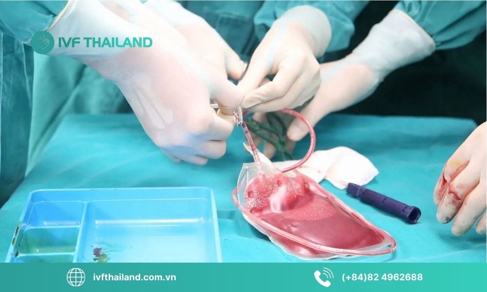 Lợi ích khi lưu trữ tế bào gốc cho cả gia đình