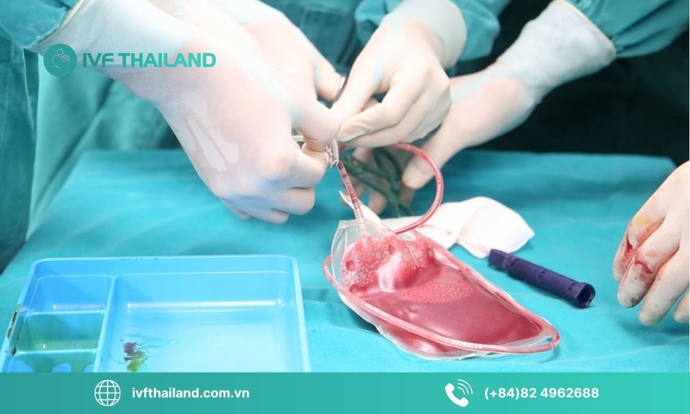 Lưu trữ tế bào gốc là gì?