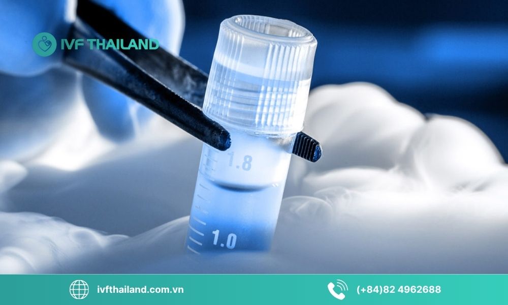 Lưu trữ tế bào gốc - Xu hướng bảo vệ sức khỏe tương lai