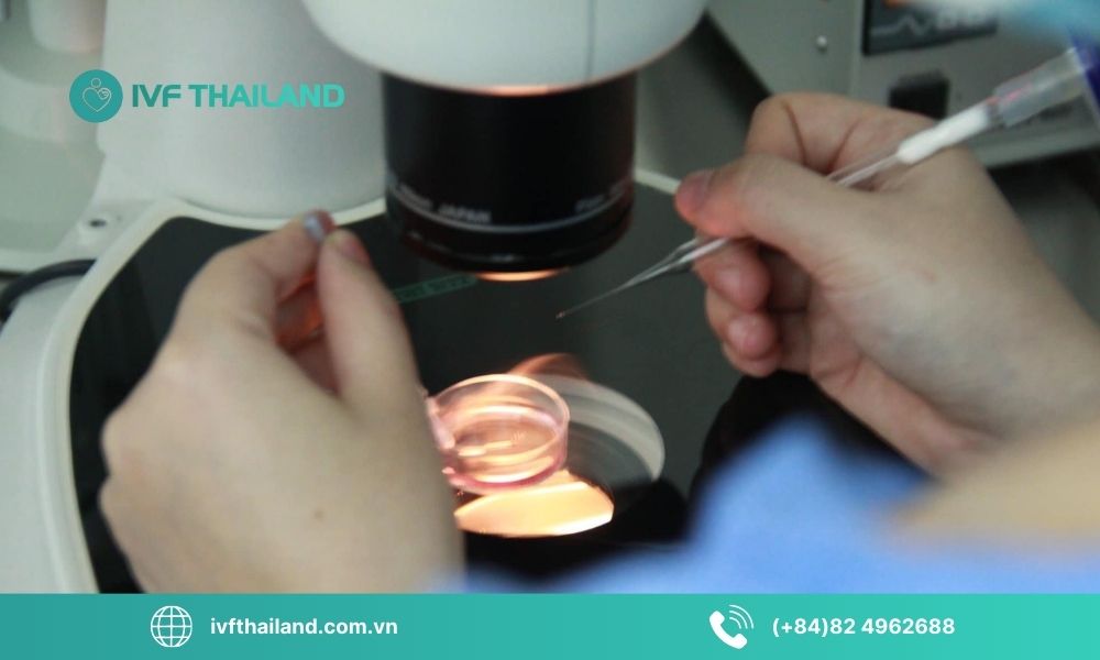 Lưu trữ trứng trong thời gian dài có ảnh hưởng đến chất lượng không?