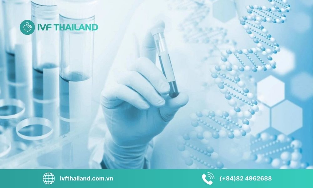 Phương pháp MACS là gì?