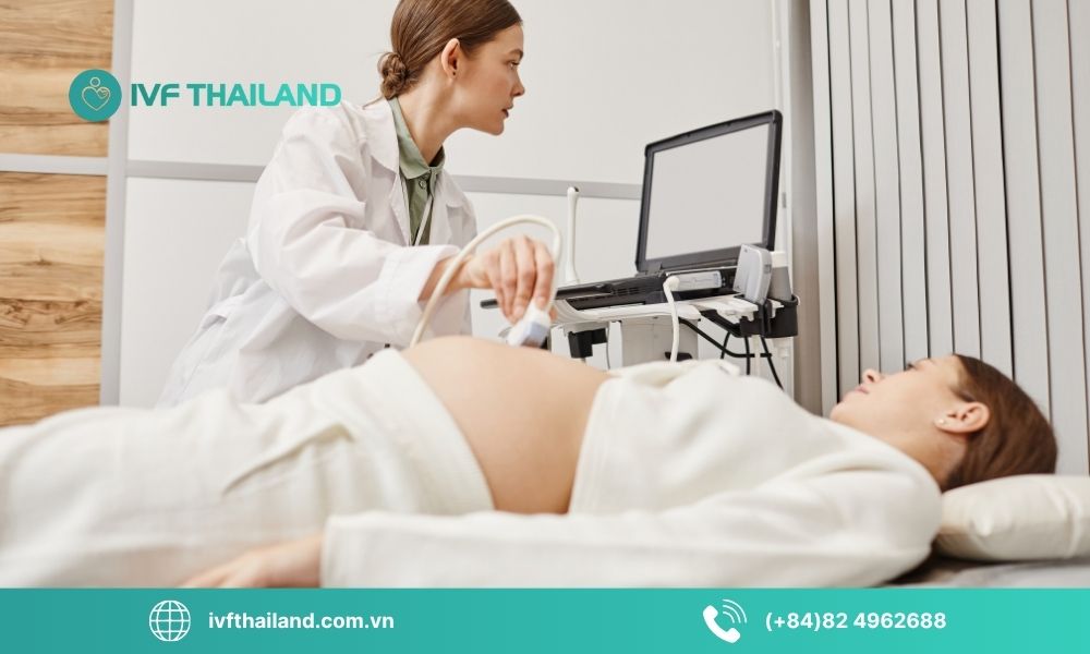 Rủi ro và lợi ích của sinh đôi hoặc sinh ba nhờ IVF