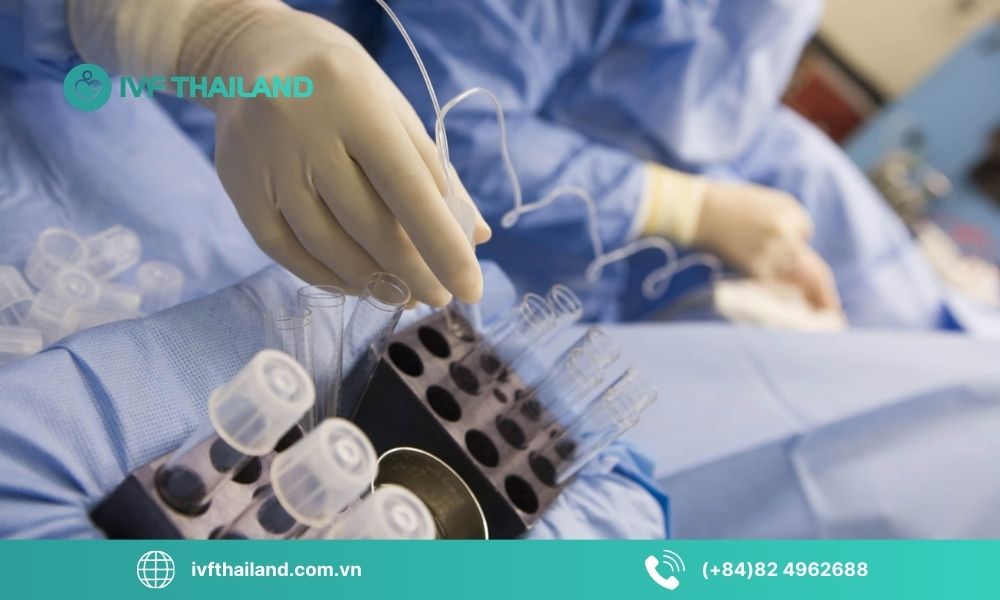 Sau chọc hút trứng bao lâu thì hồi phục?