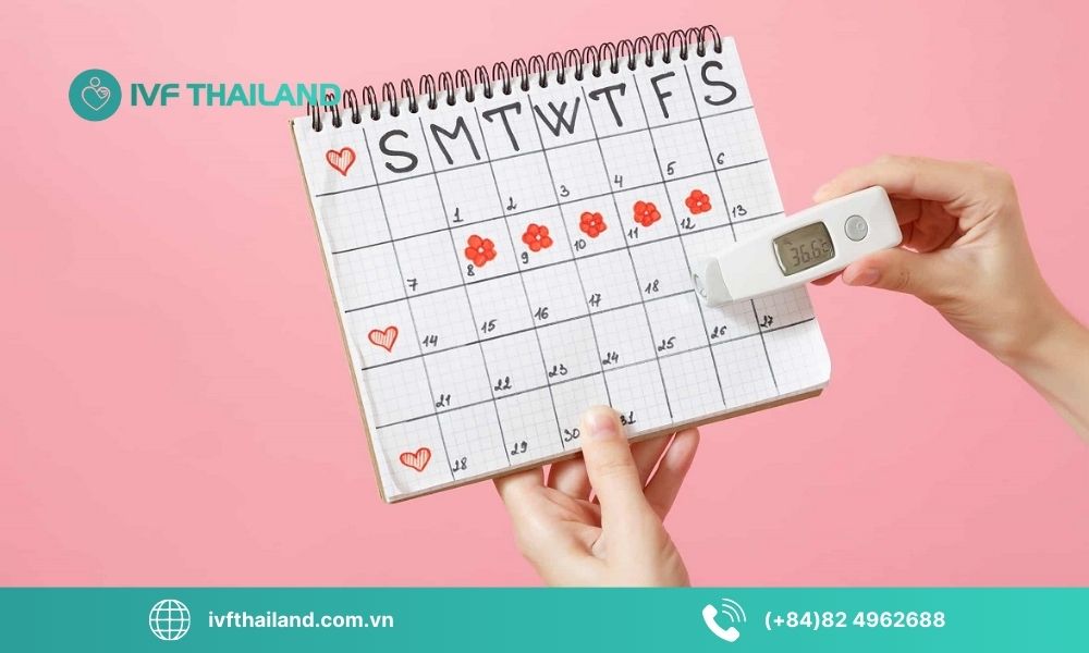 Theo dõi chu kỳ kinh và xác định “thời điểm vàng” để dễ thụ thai