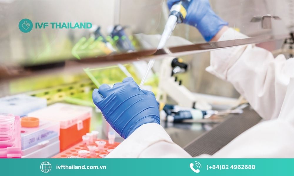 Tiềm năng và thách thức của tế bào gốc trong hỗ trợ sinh sản