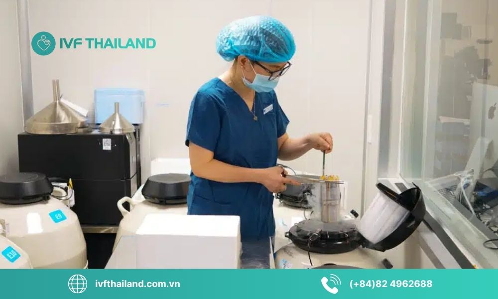 Tổng quan dịch vụ trữ đông trứng