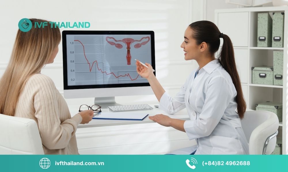 Tổng quan về IVF và xu hướng điều trị tại Thái Lan