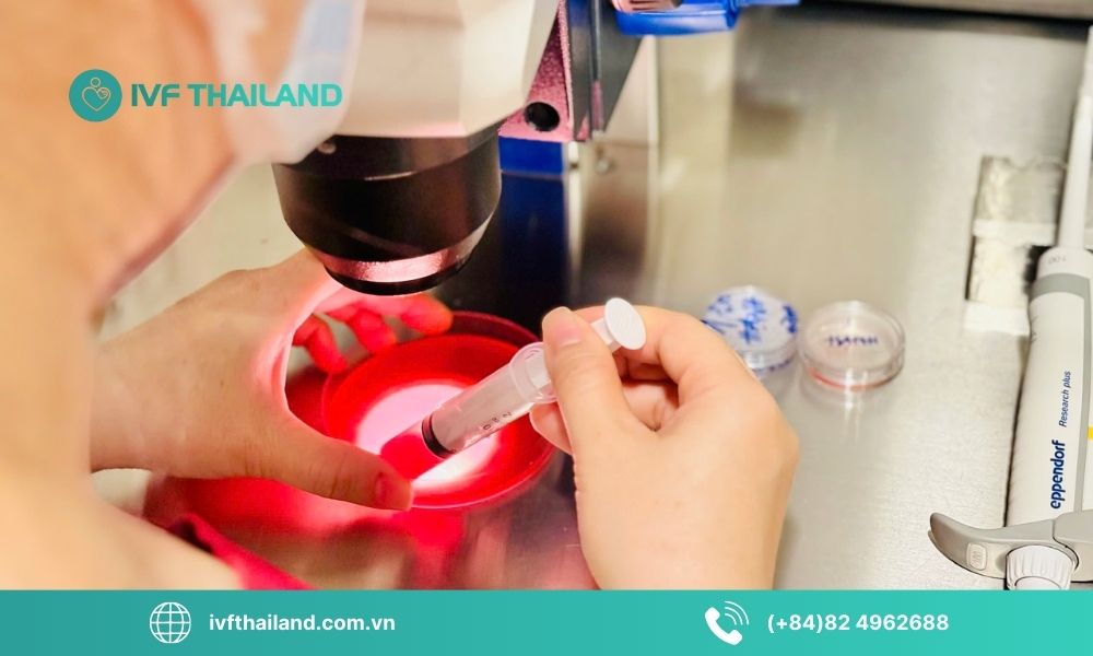 Tổng quan về lưu trữ trứng dài hạn