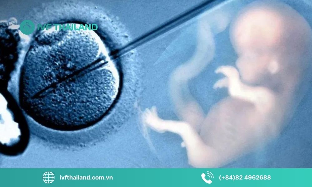 Tổng quan về sinh con bằng hỗ trợ sinh sản