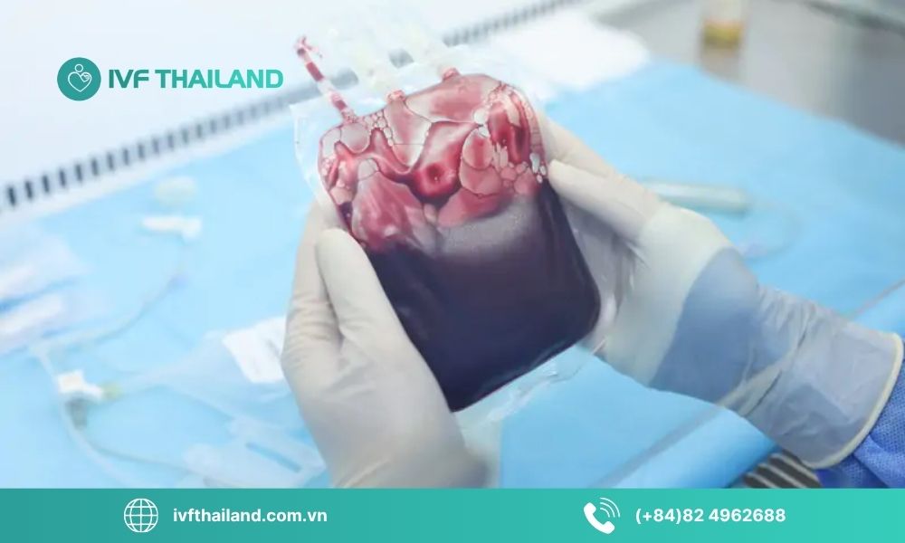 Ứng dụng của tế bào gốc trong y học hiện đại