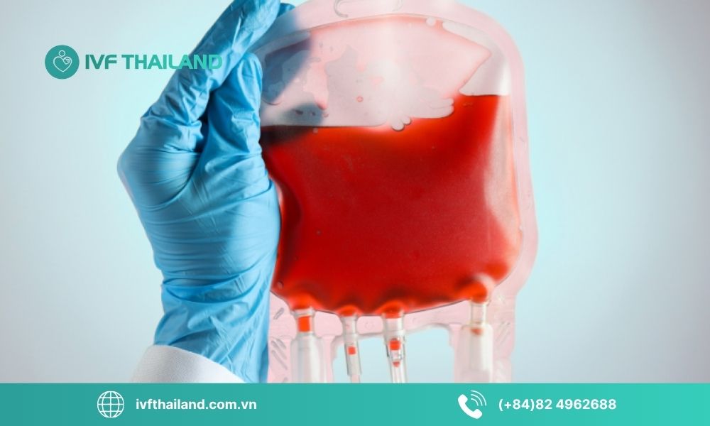 Ứng dụng tế bào gốc trong hỗ trợ sinh sản