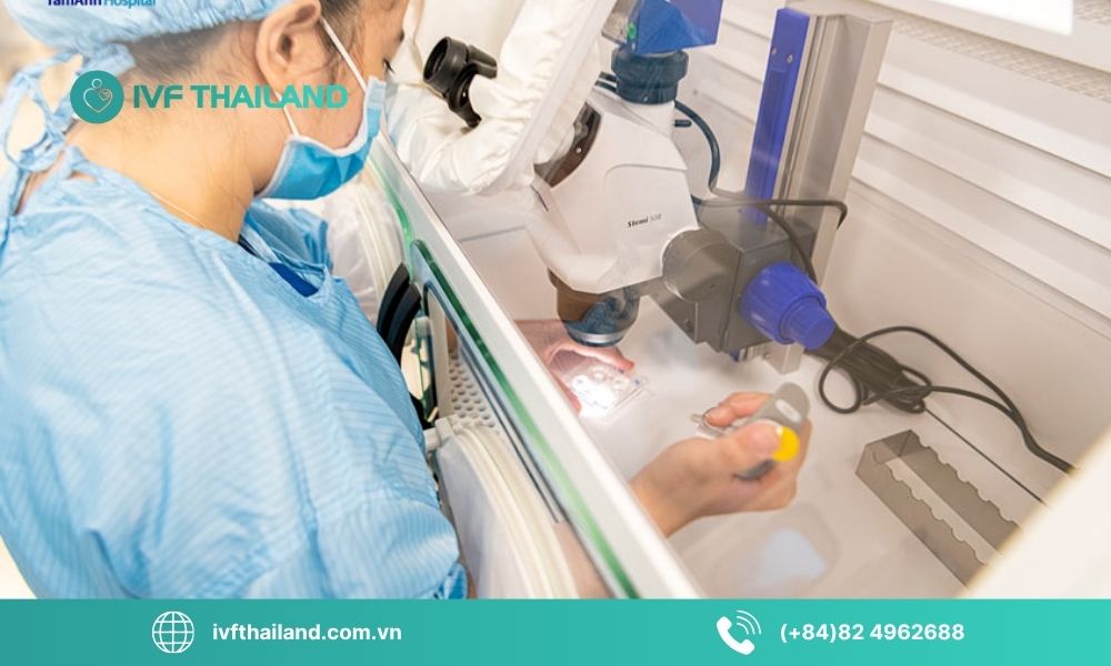 Ưu điểm khi trữ đông trứng tại Thái Lan