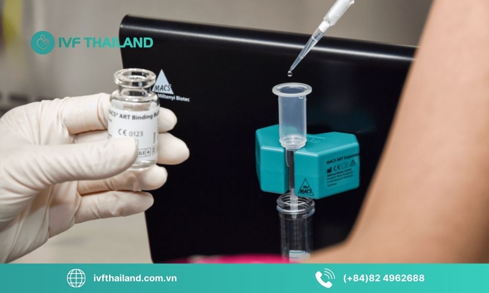 Ưu điểm nổi bật của phương pháp MACS