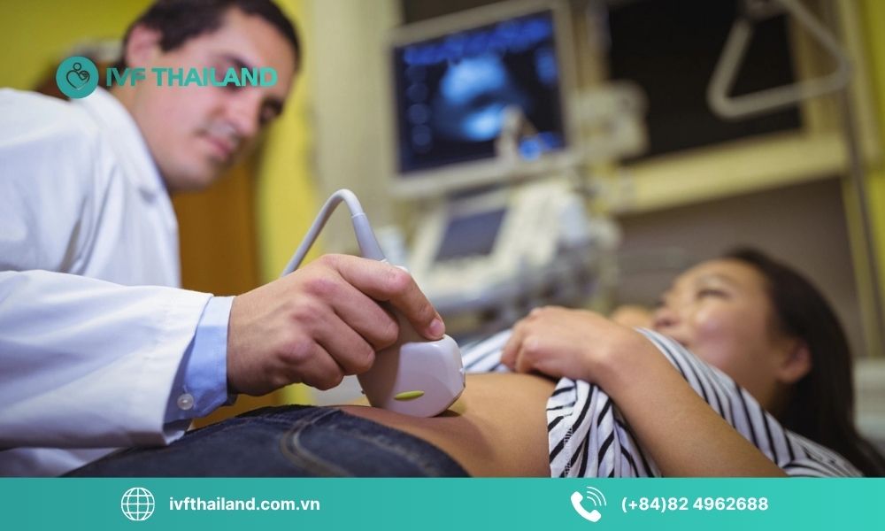 Yếu tố ảnh hưởng đến tỷ lệ thành công khi trữ đông trứng